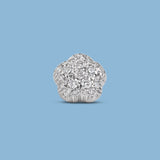 Piercing Camelia