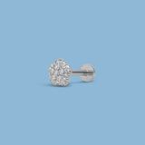 Piercing Camelia