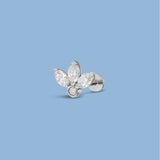 Piercing Lotus Flower