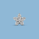 Piercing Little Star